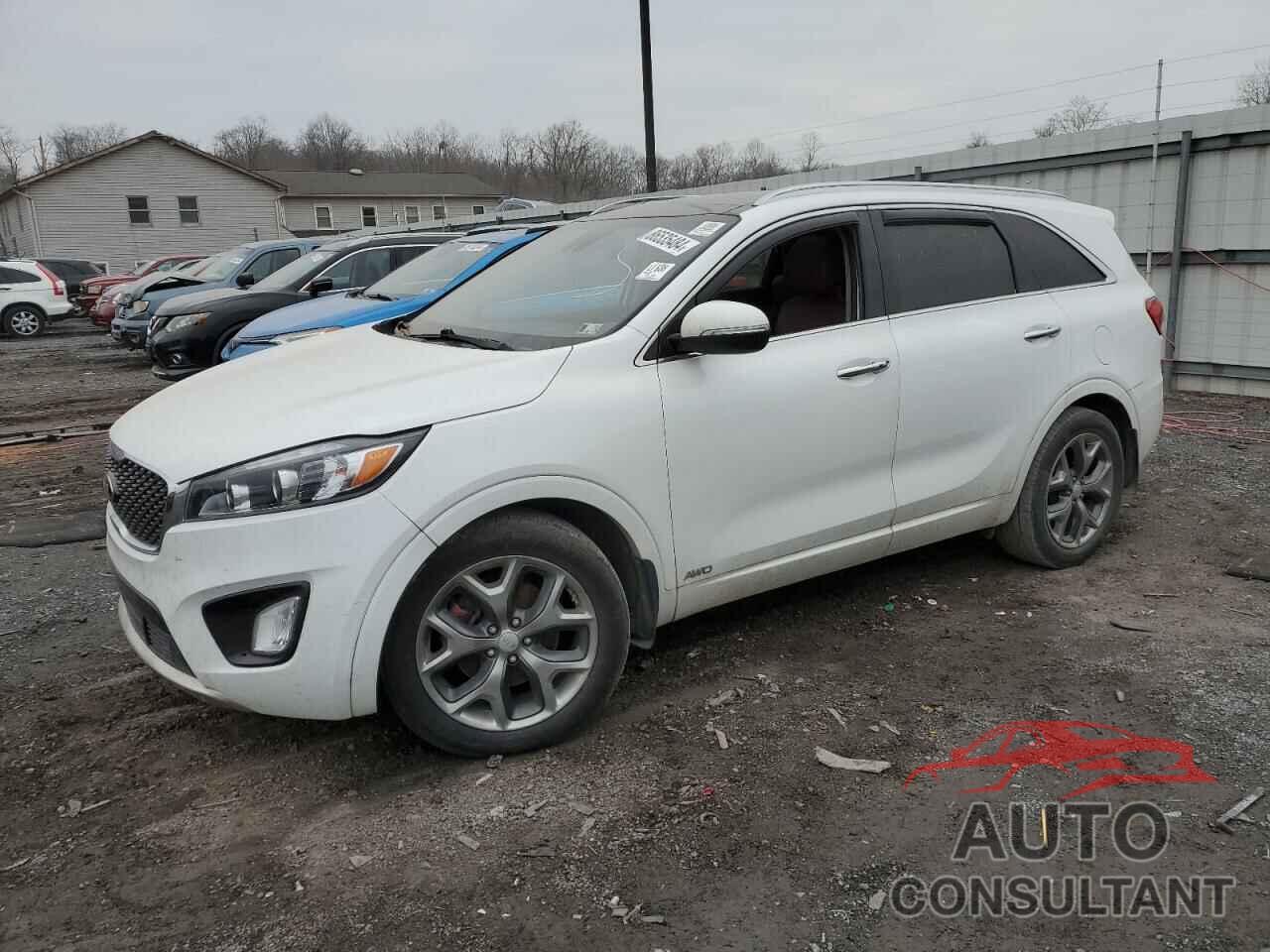 KIA SORENTO 2017 - 5XYPKDA51HG205875