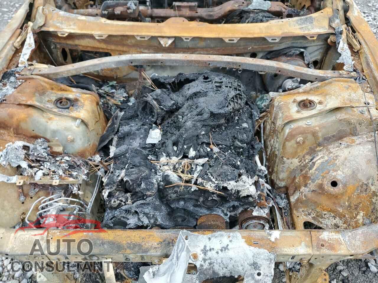 DODGE CHALLENGER 2019 - 2C3CDZAG6KH731861