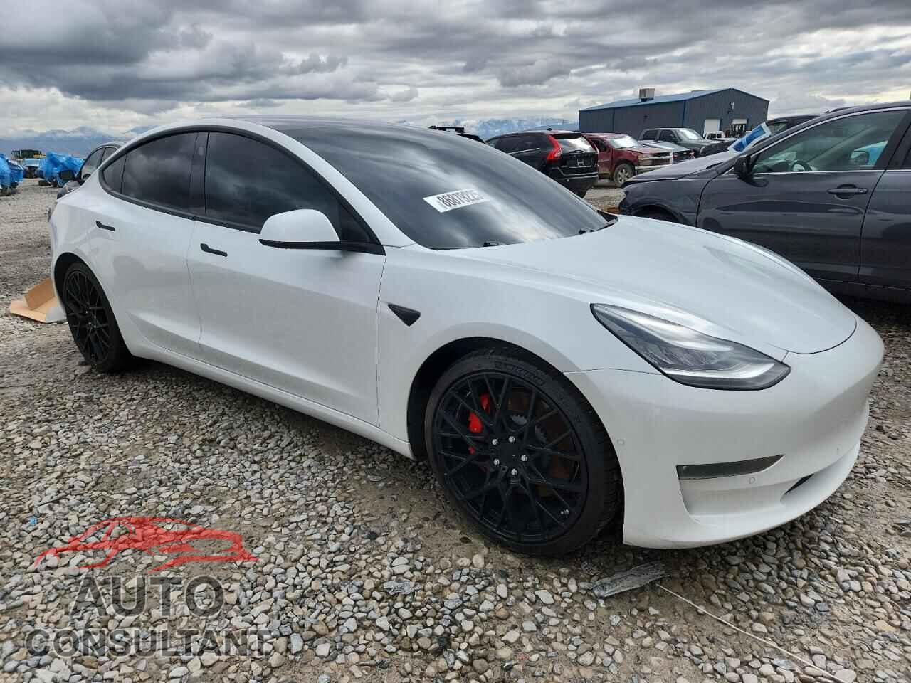 TESLA MODEL 3 2019 - 5YJ3E1EB9KF393726