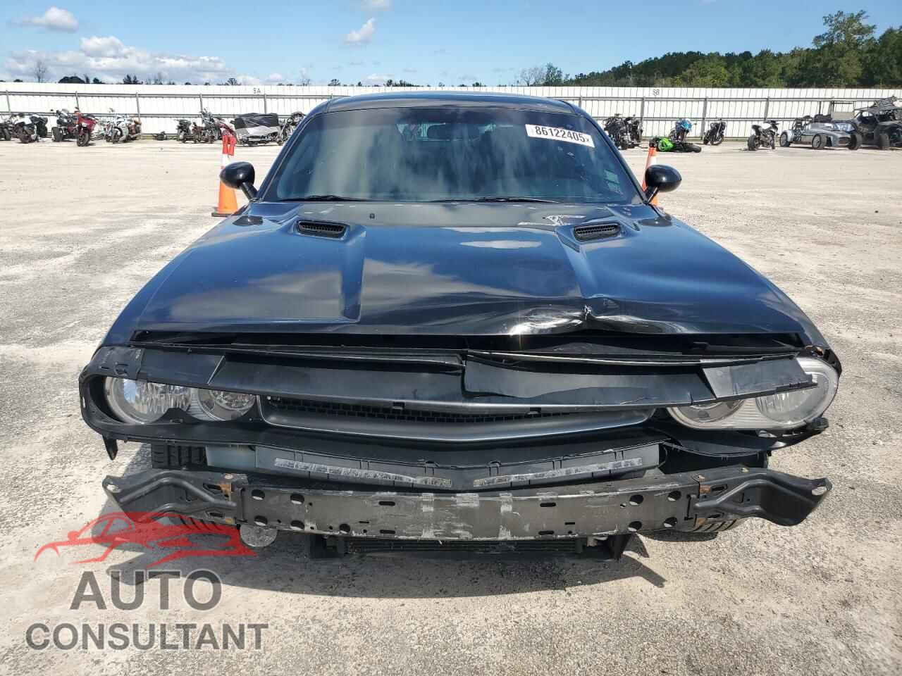 DODGE CHALLENGER 2013 - 2C3CDYAG5DH736384