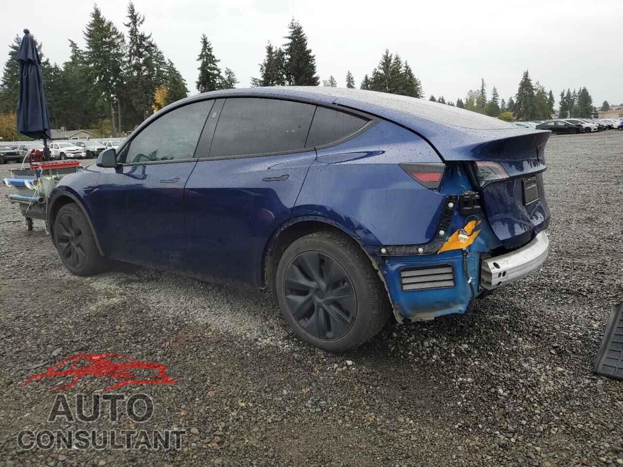 TESLA MODEL Y 2024 - 7SAYGDEE0RF168832