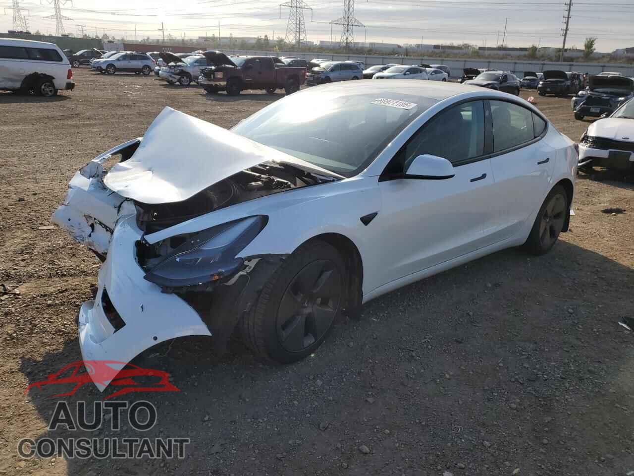 TESLA MODEL 3 2021 - 5YJ3E1EB7MF992742