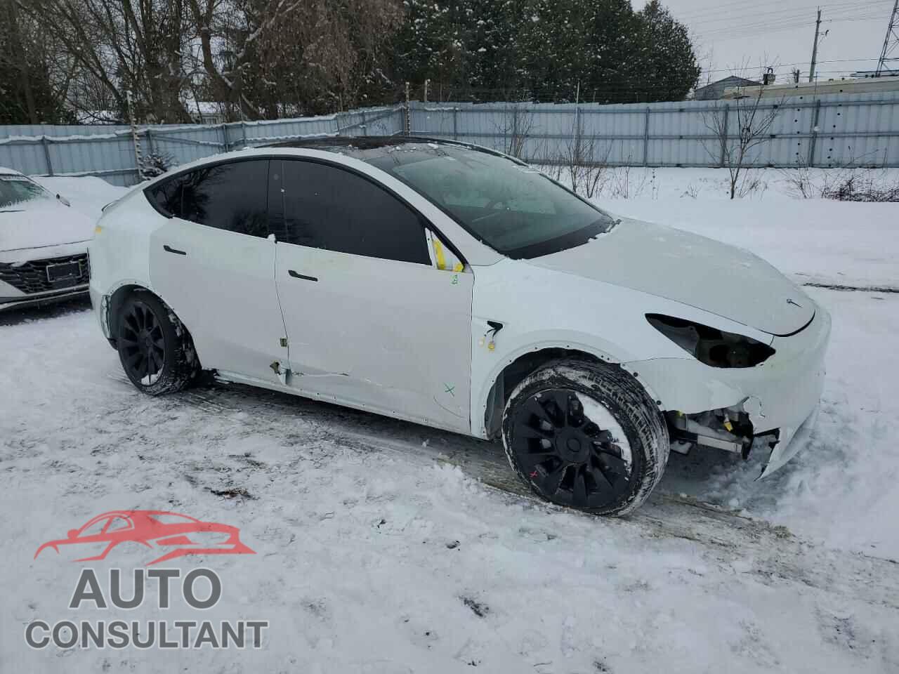 TESLA MODEL Y 2023 - LRWYGDEE3PC106989