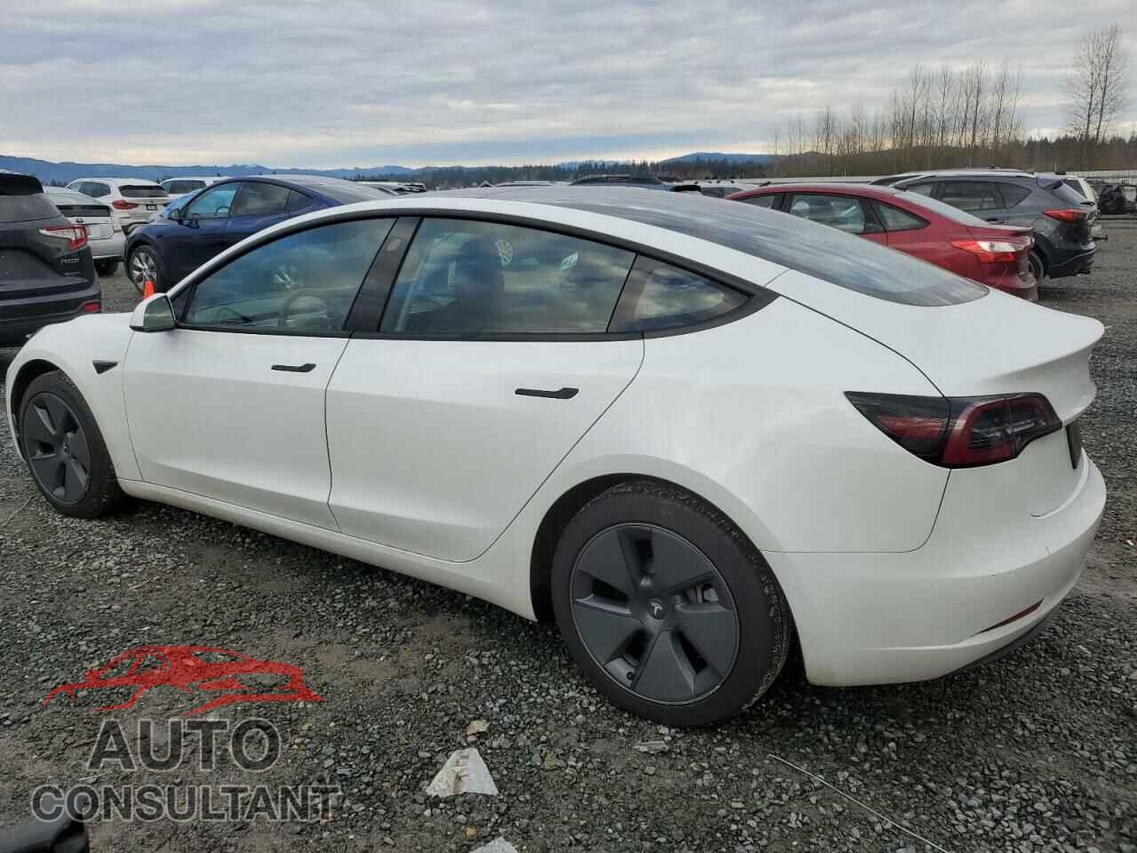 TESLA MODEL 3 2022 - 5YJ3E1EA7NF245103