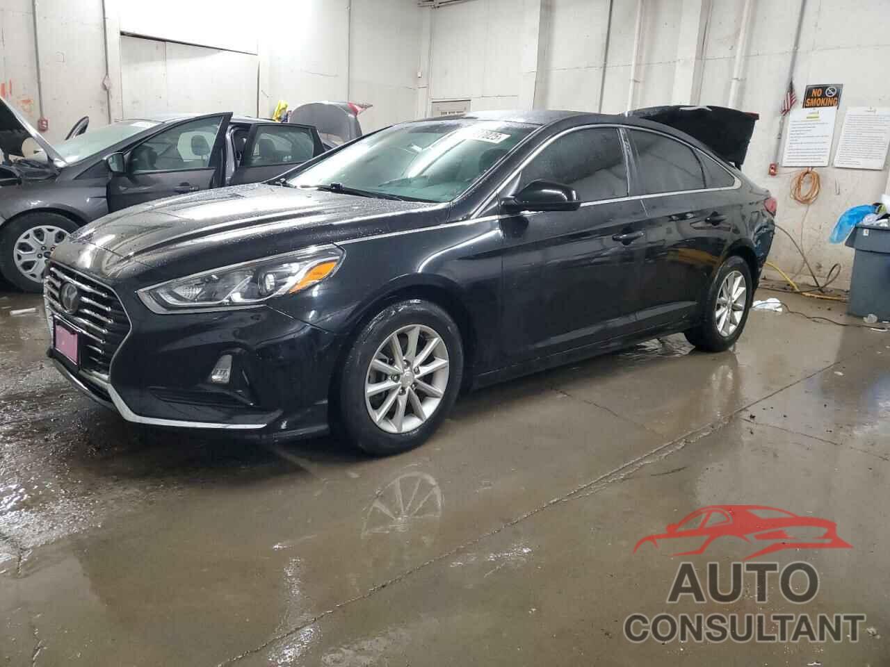 HYUNDAI SONATA 2019 - 5NPE24AF7KH765304