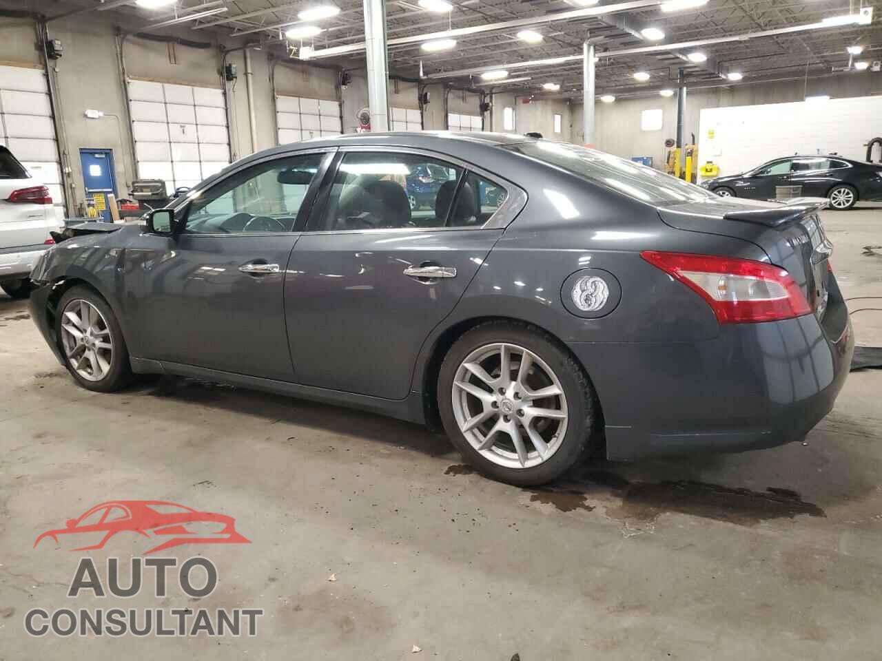 NISSAN MAXIMA 2011 - 1N4AA5AP5BC839790