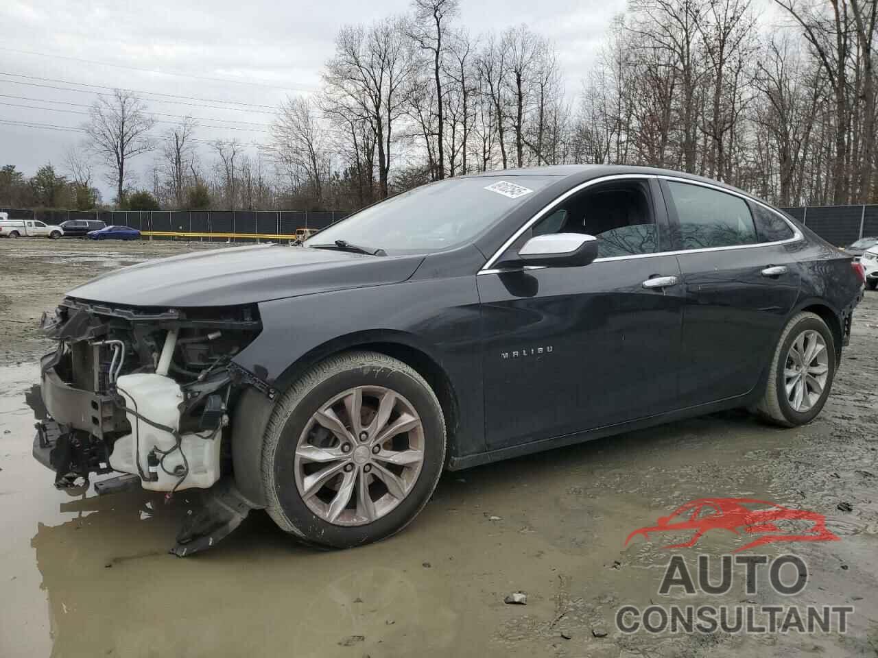 CHEVROLET MALIBU 2019 - 1G1ZD5ST9KF148527