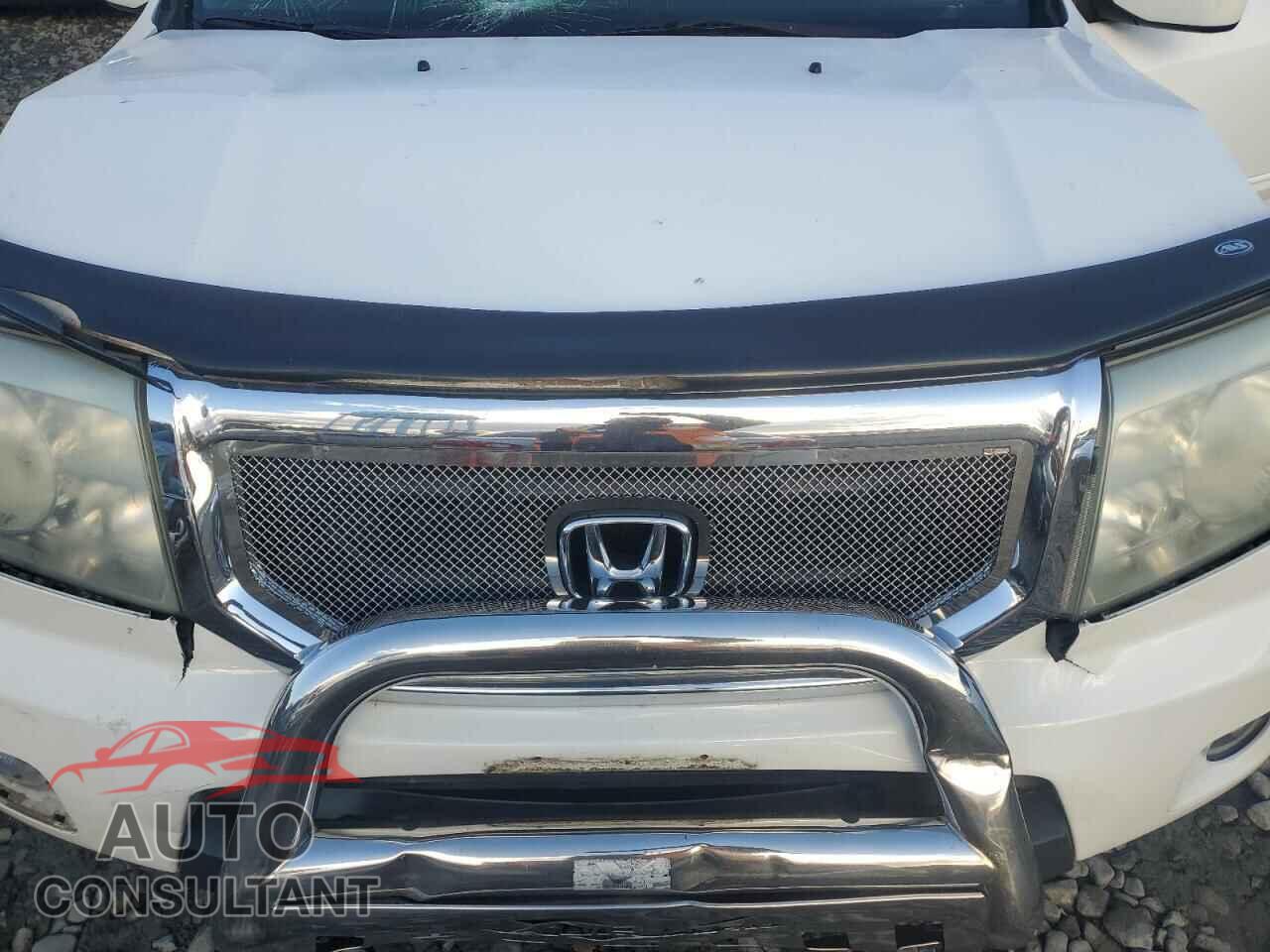 HONDA PILOT 2009 - 5FNYF48449B027345