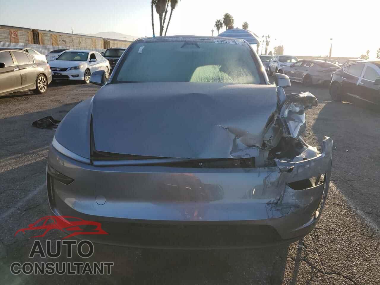 TESLA MODEL Y 2026 - 7SAYGDEE8TF341648
