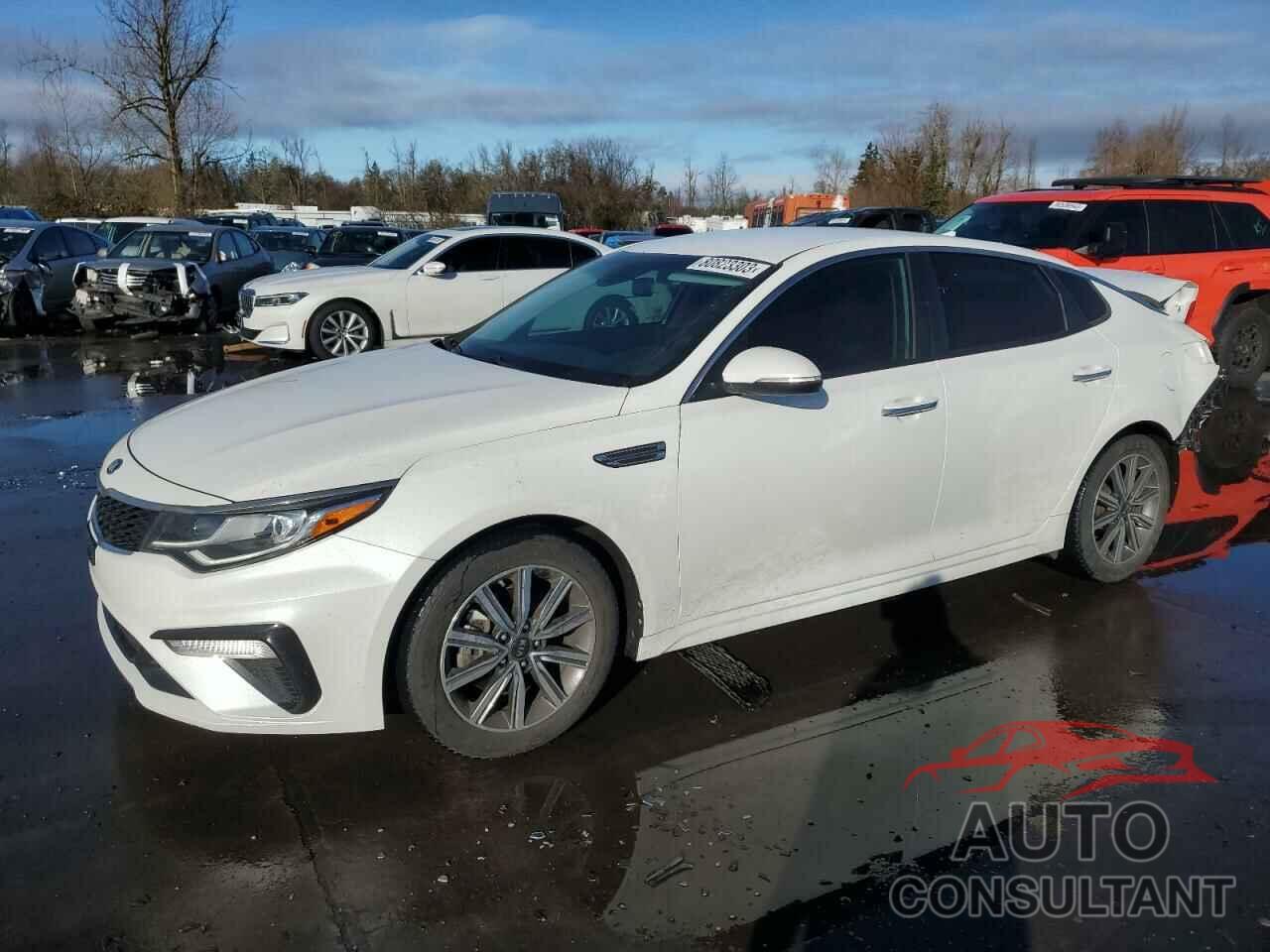 KIA OPTIMA 2019 - 5XXGT4L34KG356925
