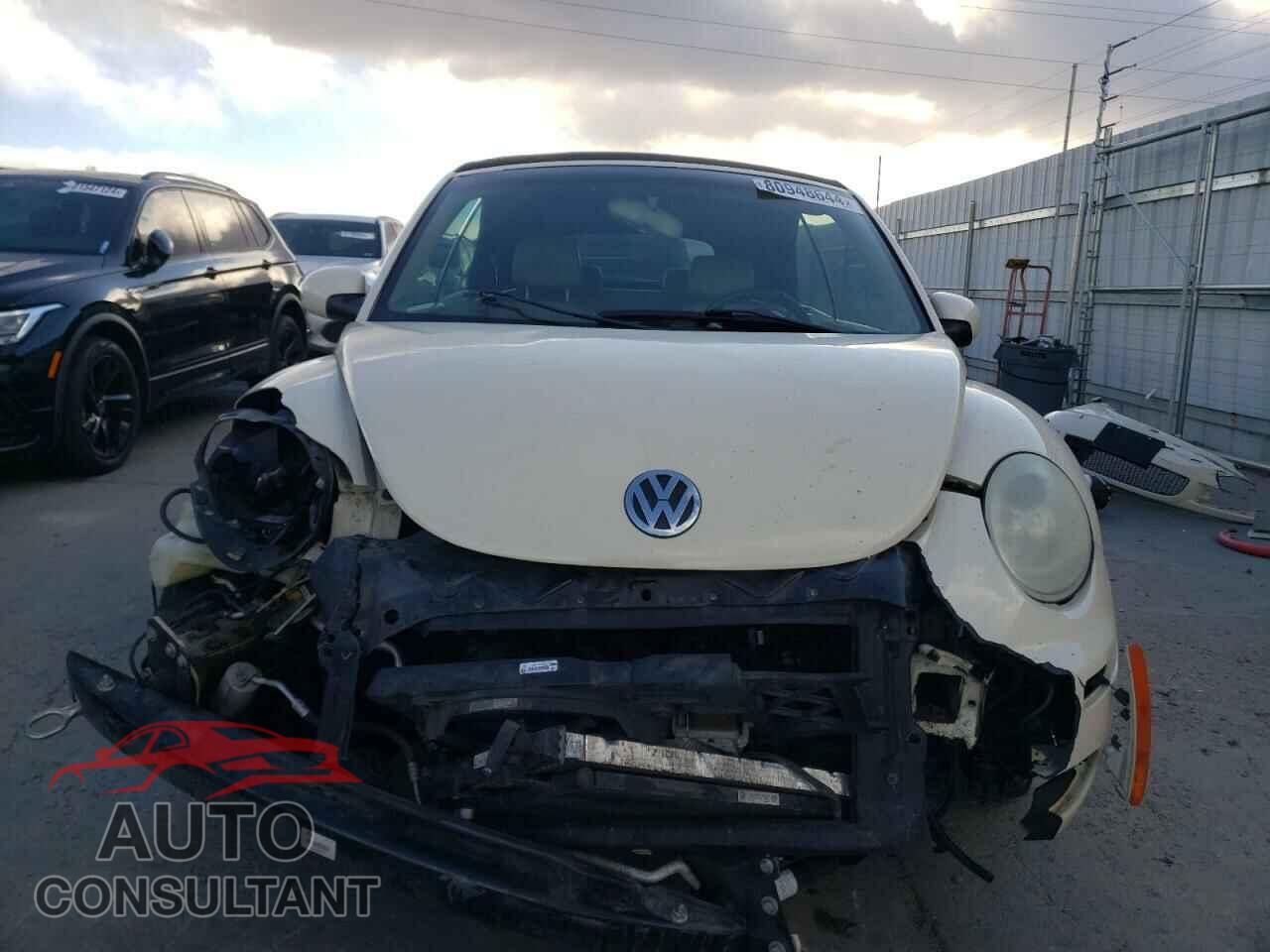 VOLKSWAGEN BEETLE 2009 - 3VWRF31Y69M404780