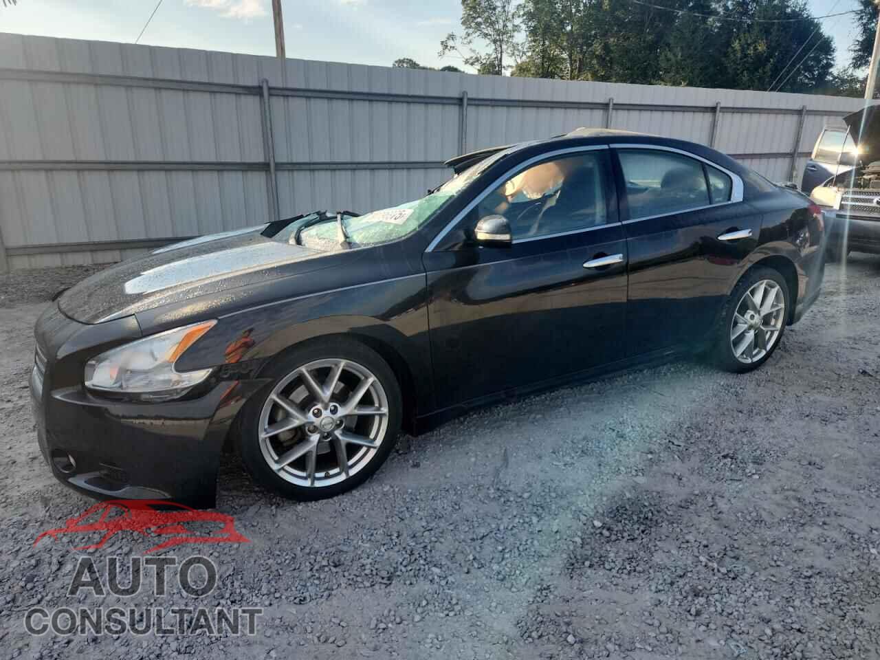 NISSAN MAXIMA 2010 - 1N4AA5AP1AC870713