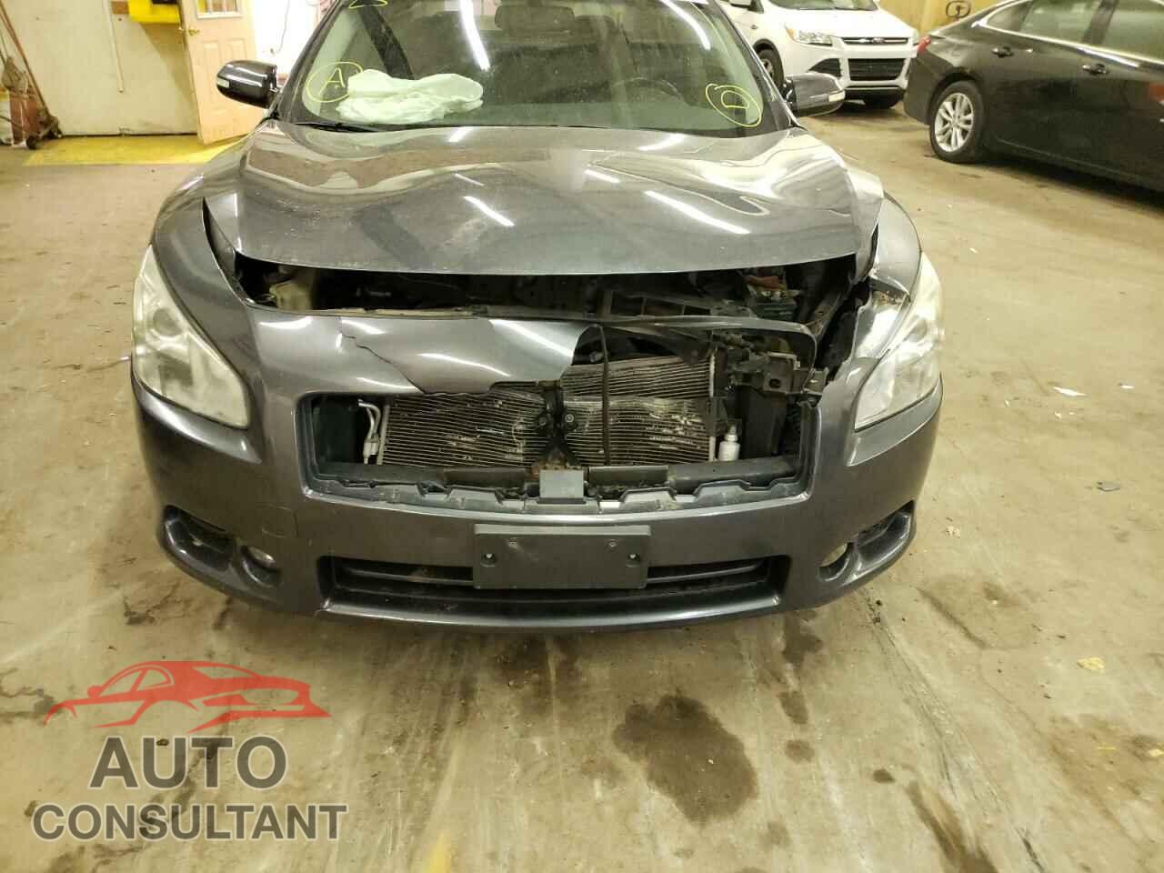 NISSAN MAXIMA 2011 - 1N4AA5AP1BC841150