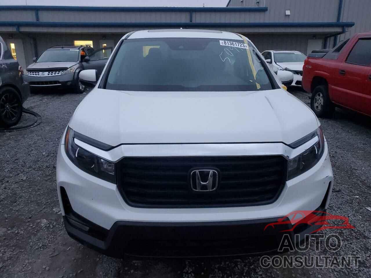 HONDA RIDGELINE 2023 - 5FPYK3F53PB025091