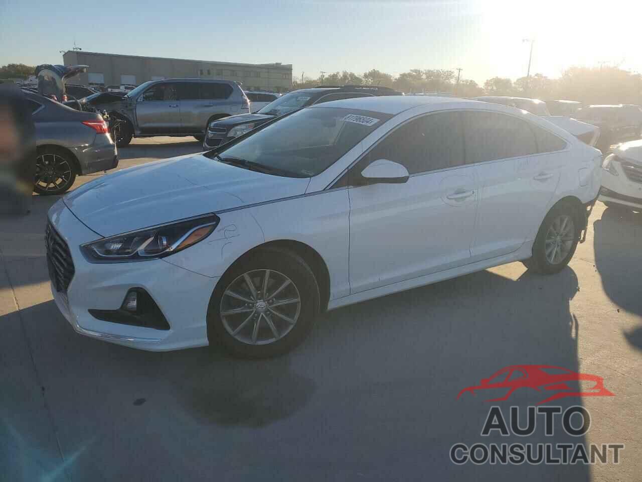HYUNDAI SONATA 2019 - 5NPE24AF9KH750870