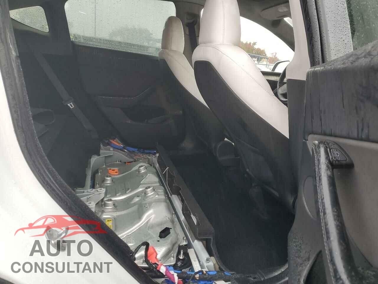 TESLA MODEL Y 2024 - 7SAYGDEF9RF094562
