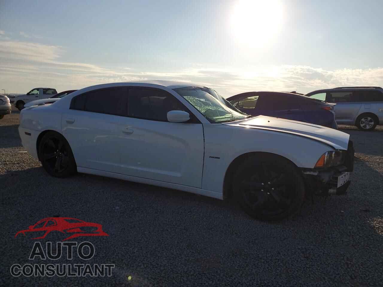 DODGE CHARGER 2014 - 2C3CDXCT3EH342307