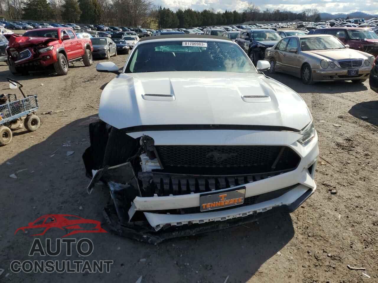 FORD MUSTANG 2019 - 1FATP8FF6K5126216