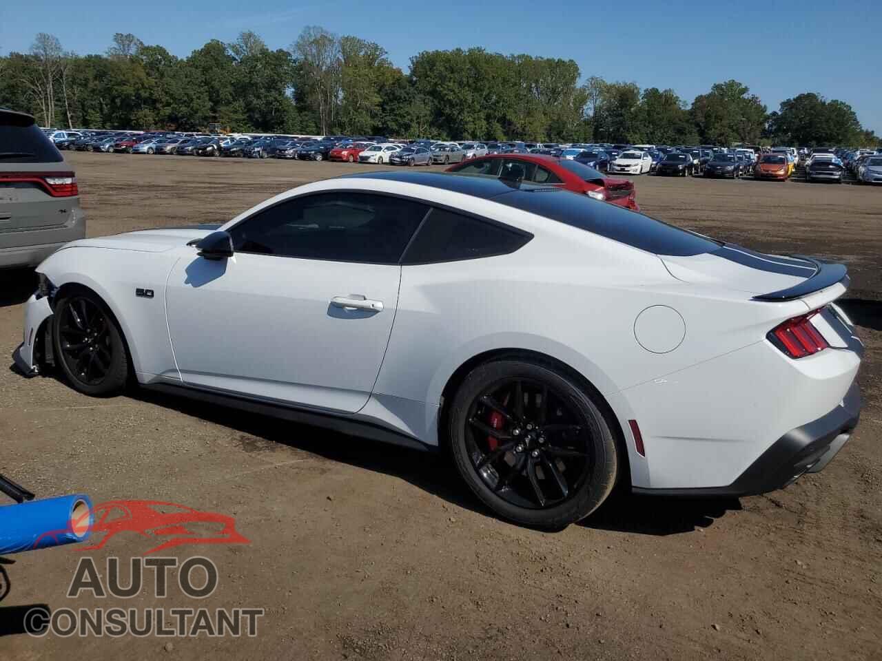 FORD MUSTANG 2024 - 1FA6P8CF9R5404960