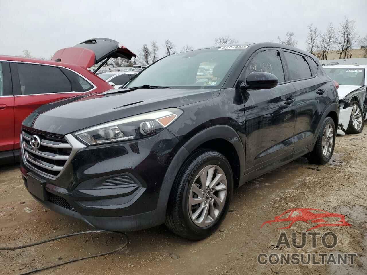 HYUNDAI TUCSON 2017 - KM8J23A42HU577498