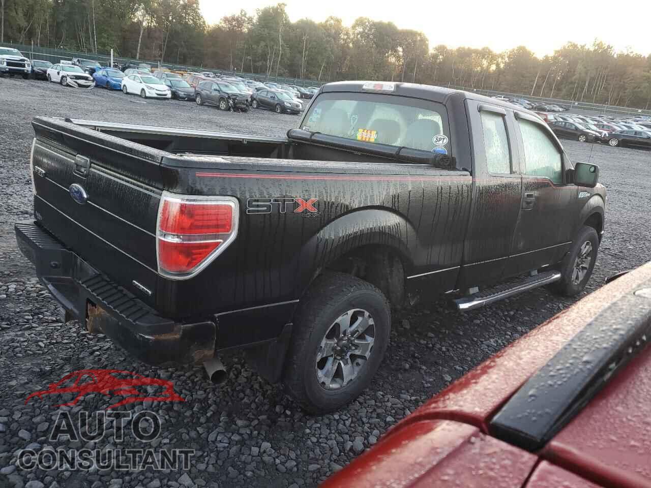 FORD F-150 2013 - 1FTFX1EF3DFD51822