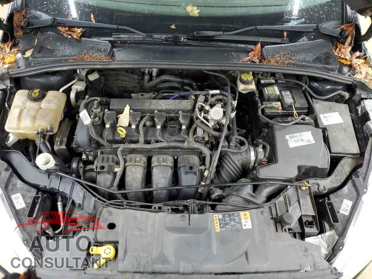 FORD FOCUS 2017 - 1FADP3F20HL256727