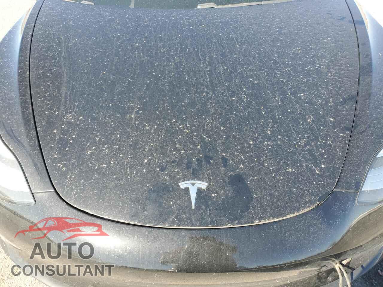 TESLA MODEL 3 2019 - 5YJ3E1EA4KF313465