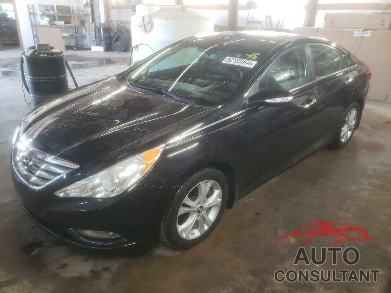 HYUNDAI SONATA 2013 - 5NPEC4AC7DH646349