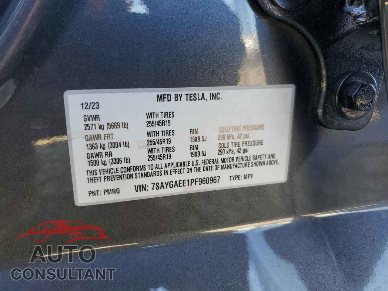 TESLA MODEL Y 2023 - 7SAYGAEE1PF960967