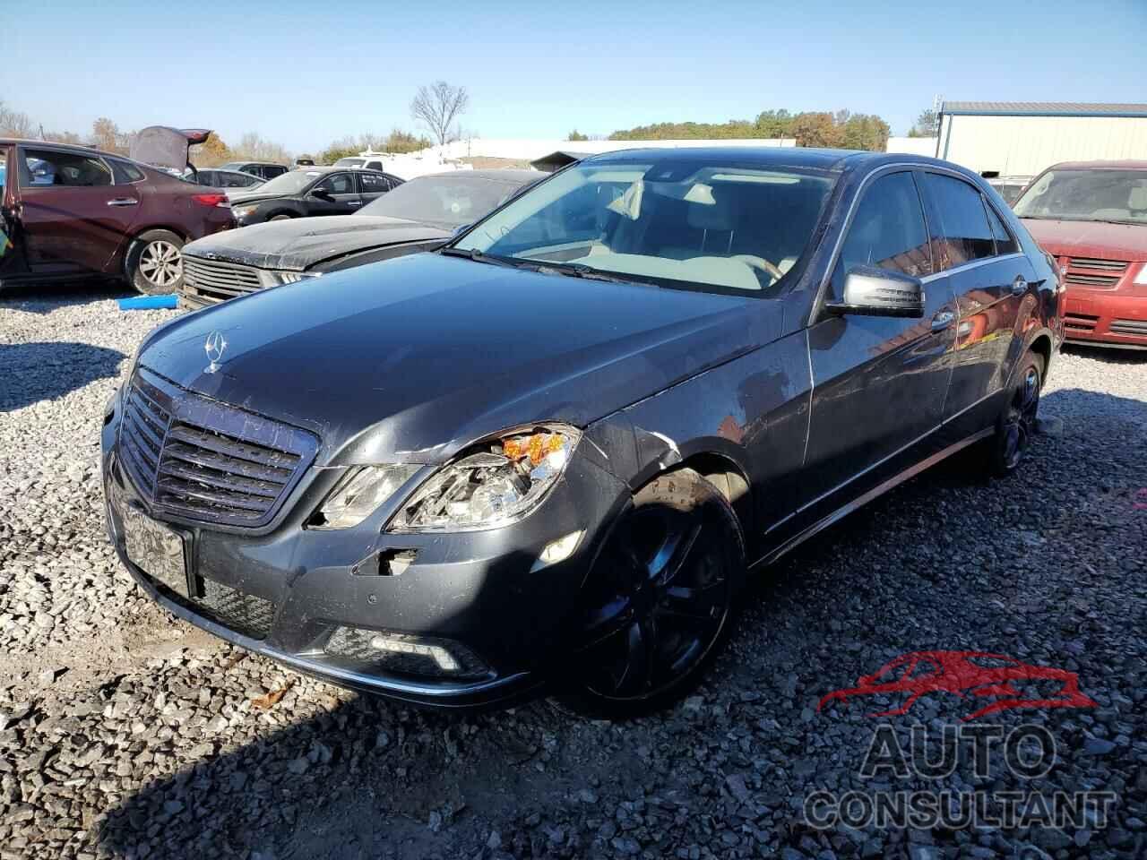MERCEDES-BENZ E-CLASS 2010 - WDDHF8HBXAA227641