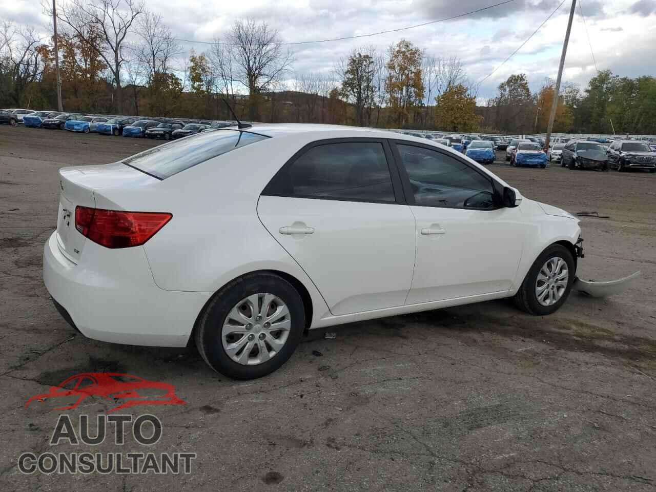 KIA FORTE 2012 - KNAFU4A25C5625827