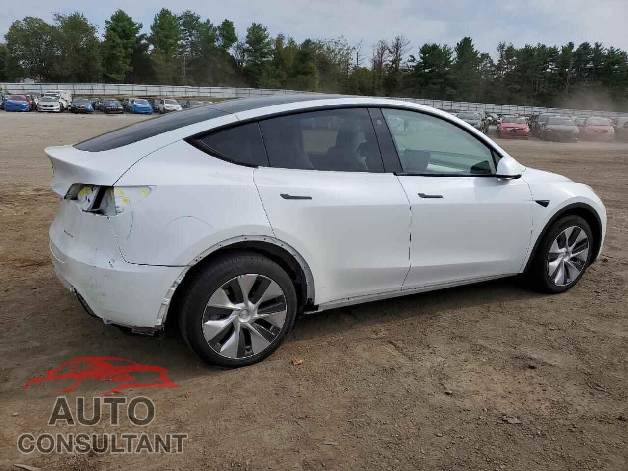 TESLA MODEL Y 2023 - 7SAYGDEE5PF666554