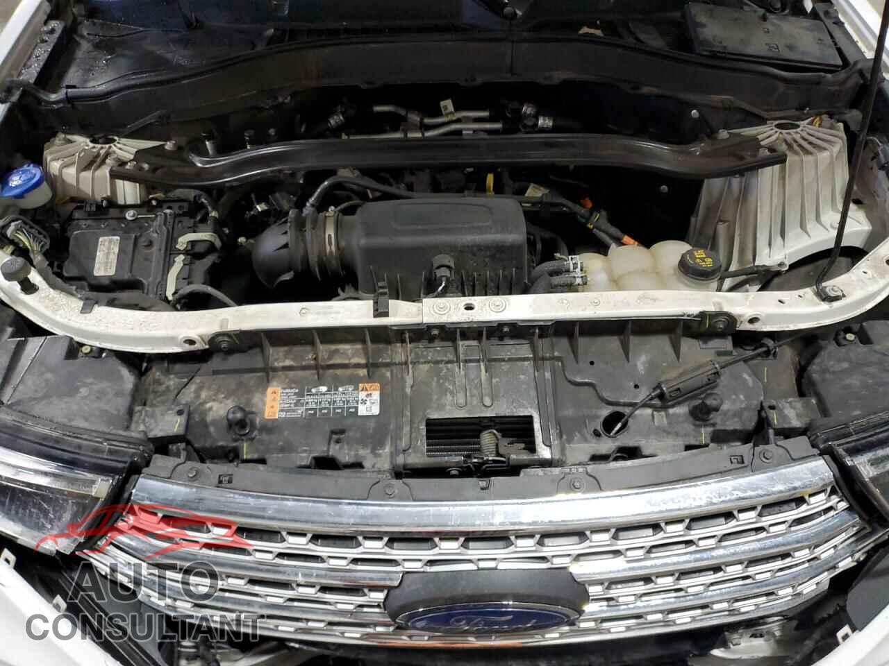 FORD EXPLORER 2021 - 1FMSK8FH0MGC30516