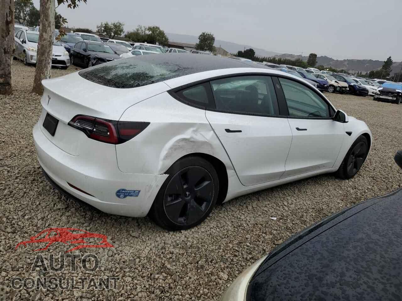 TESLA MODEL 3 2021 - 5YJ3E1EA0MF013635