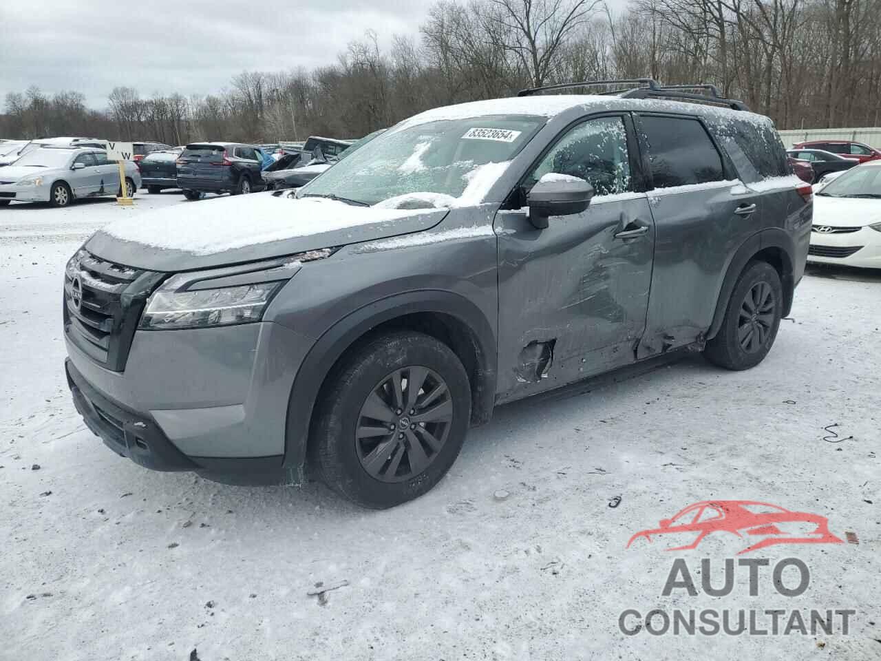 NISSAN PATHFINDER 2022 - 5N1DR3BDXNC213385