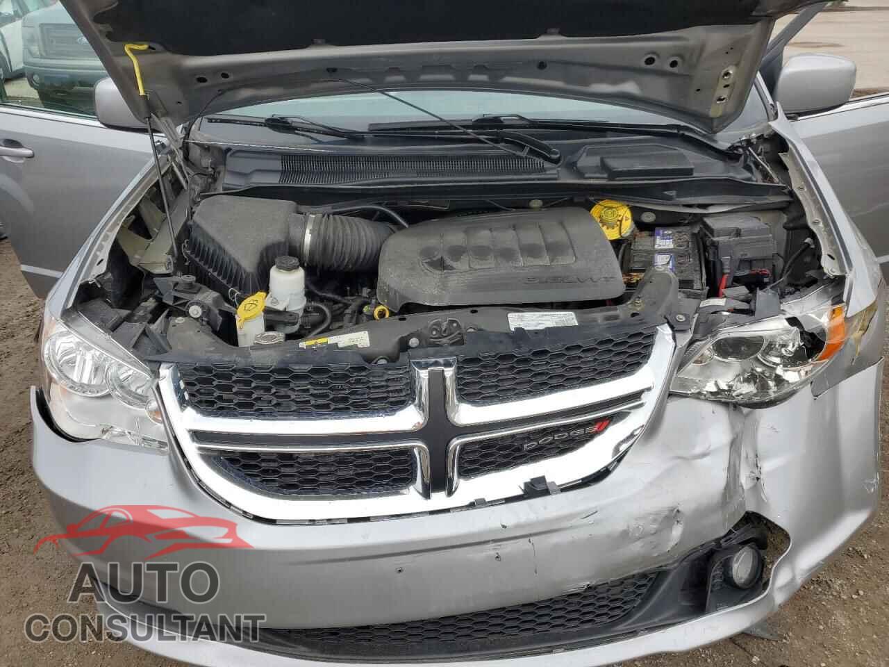 DODGE CARAVAN 2019 - 2C4RDGBG3KR699194
