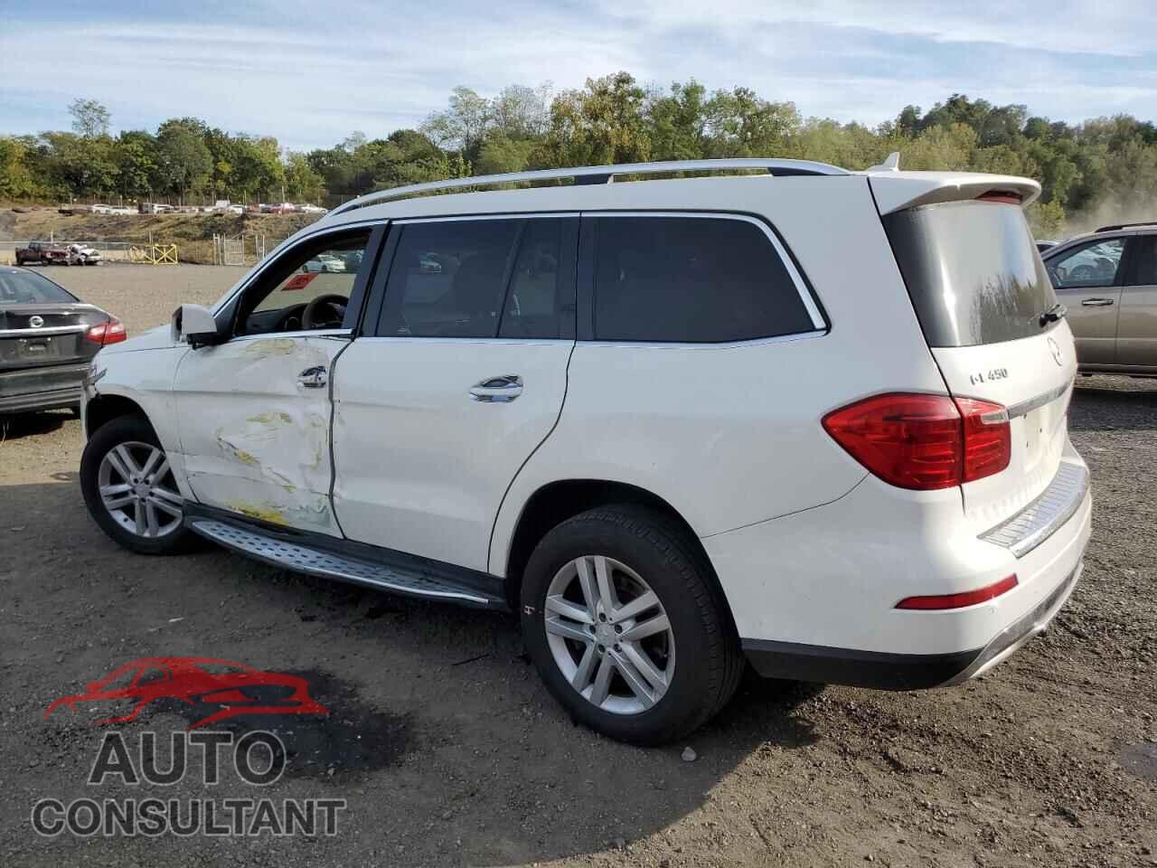 MERCEDES-BENZ GL-CLASS 2014 - 4JGDF7CE2EA282364