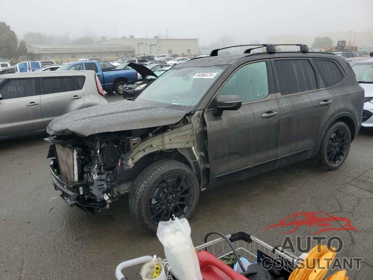 KIA TELLURIDE 2021 - 5XYP5DHC8MG115533