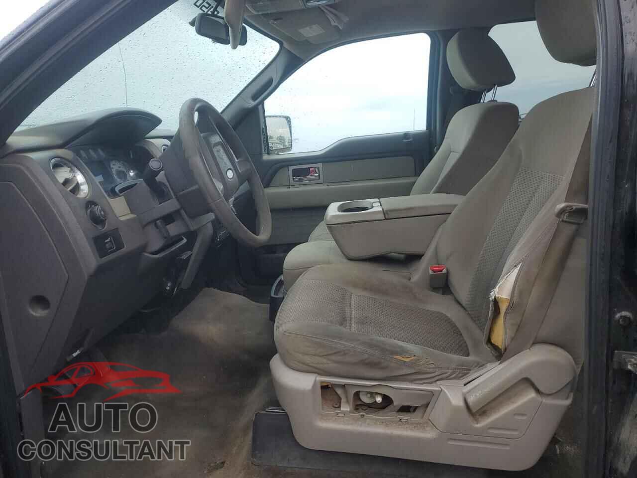 FORD F-150 2009 - 1FTRW14829FA65695