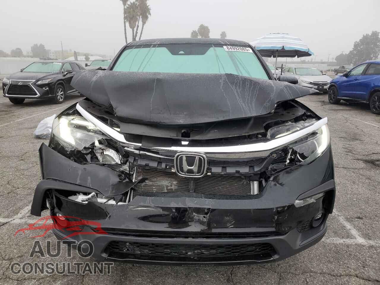 HONDA PILOT 2020 - 5FNYF5H39LB013509