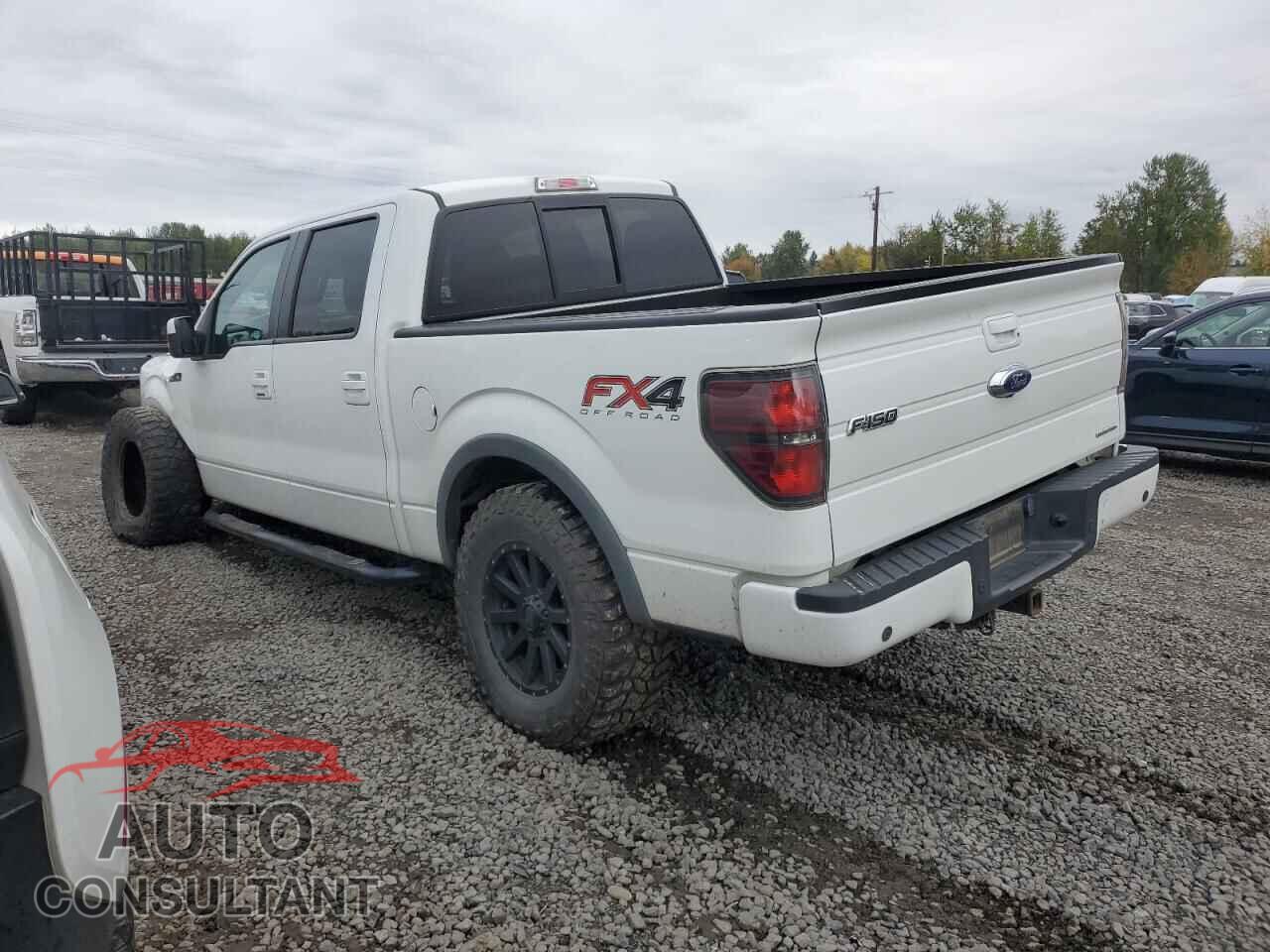 FORD F-150 2014 - 1FTFW1EFXEFA71318