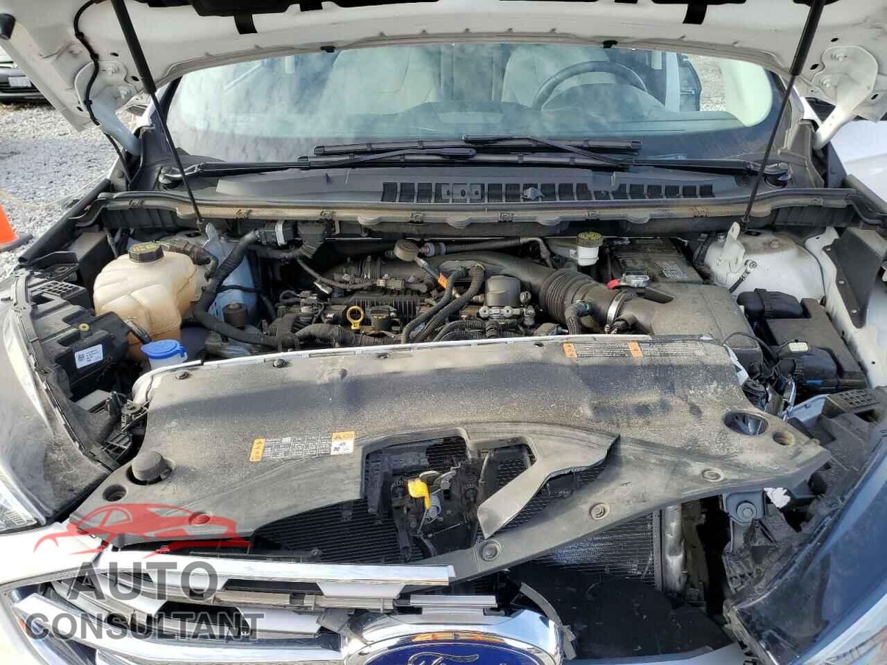 FORD EDGE 2019 - 2FMPK4K98KBB45747