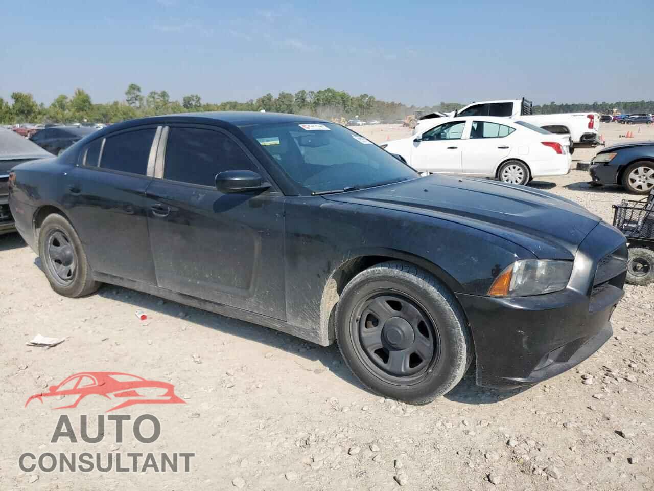 DODGE CHARGER 2013 - 2C3CDXAT9DH593379