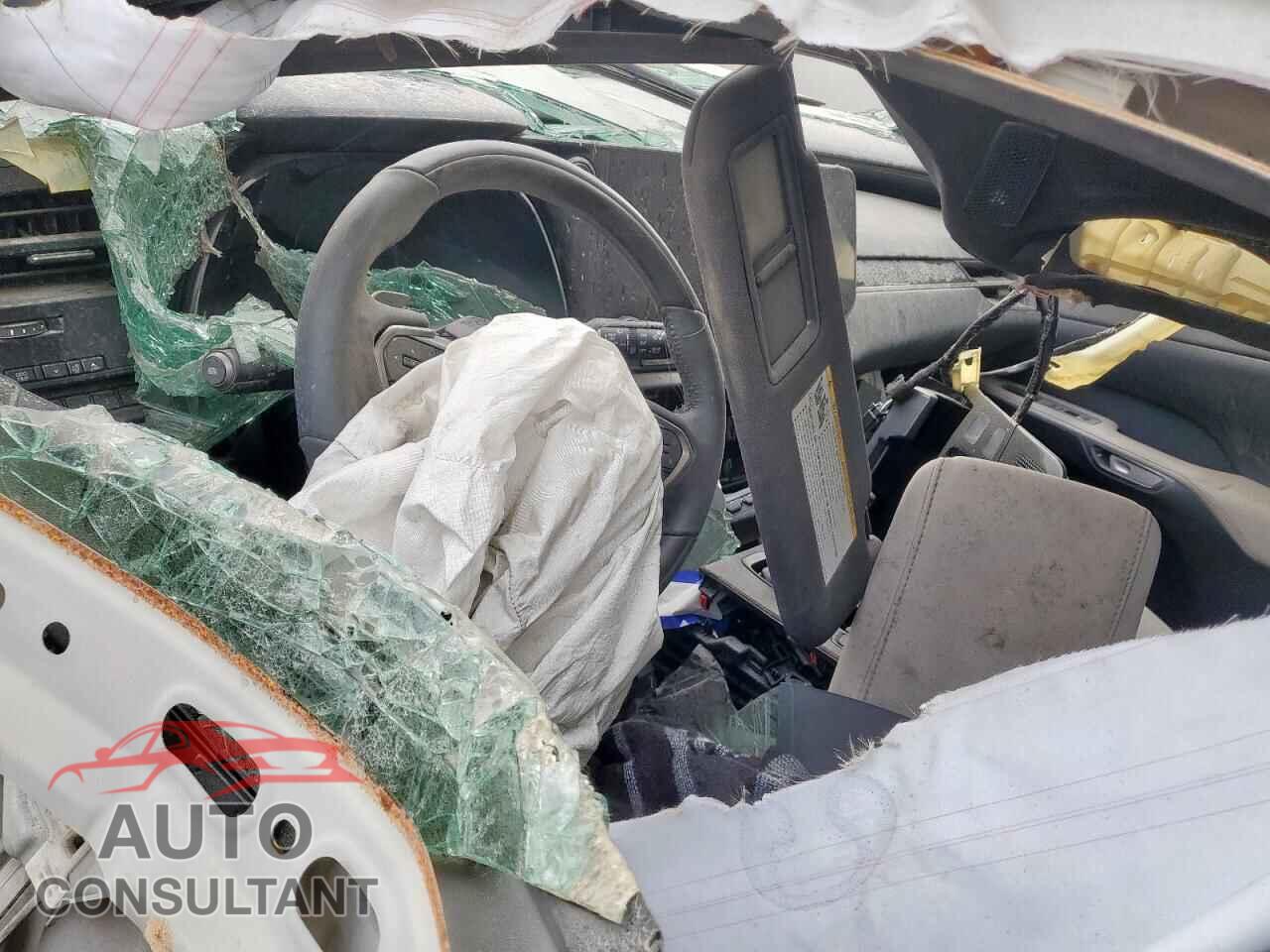 LEXUS RX350 2023 - 2T2BAMBA4PC016877