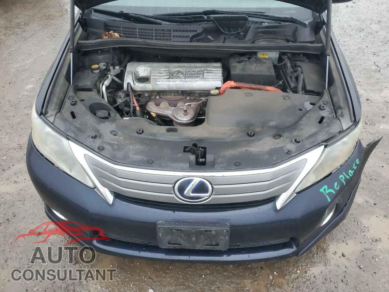 LEXUS HS 2010 - JTHBB1BA6A2018733