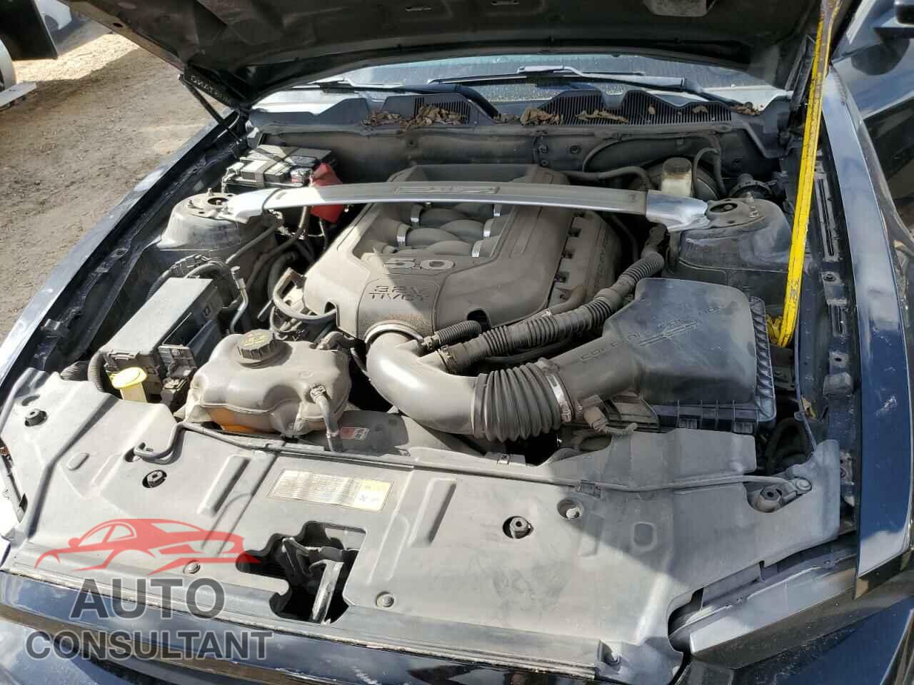 FORD MUSTANG 2014 - 1ZVBP8CF8E5256977