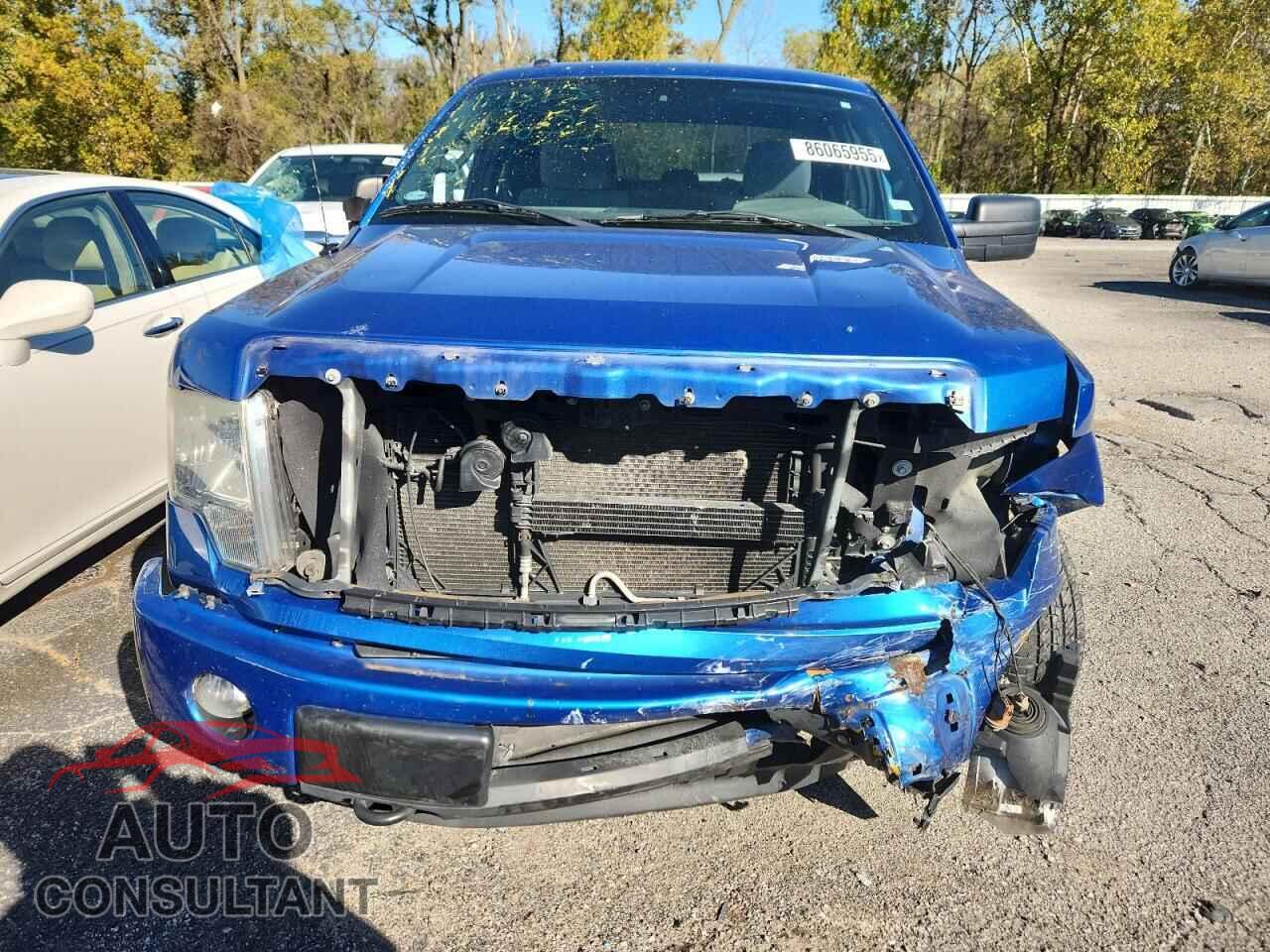 FORD F-150 2013 - 1FTFX1EF1DKE33717