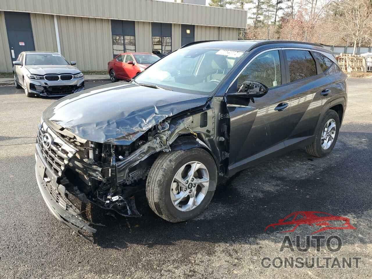 HYUNDAI TUCSON 2024 - 5NMJBCDEXRH328691