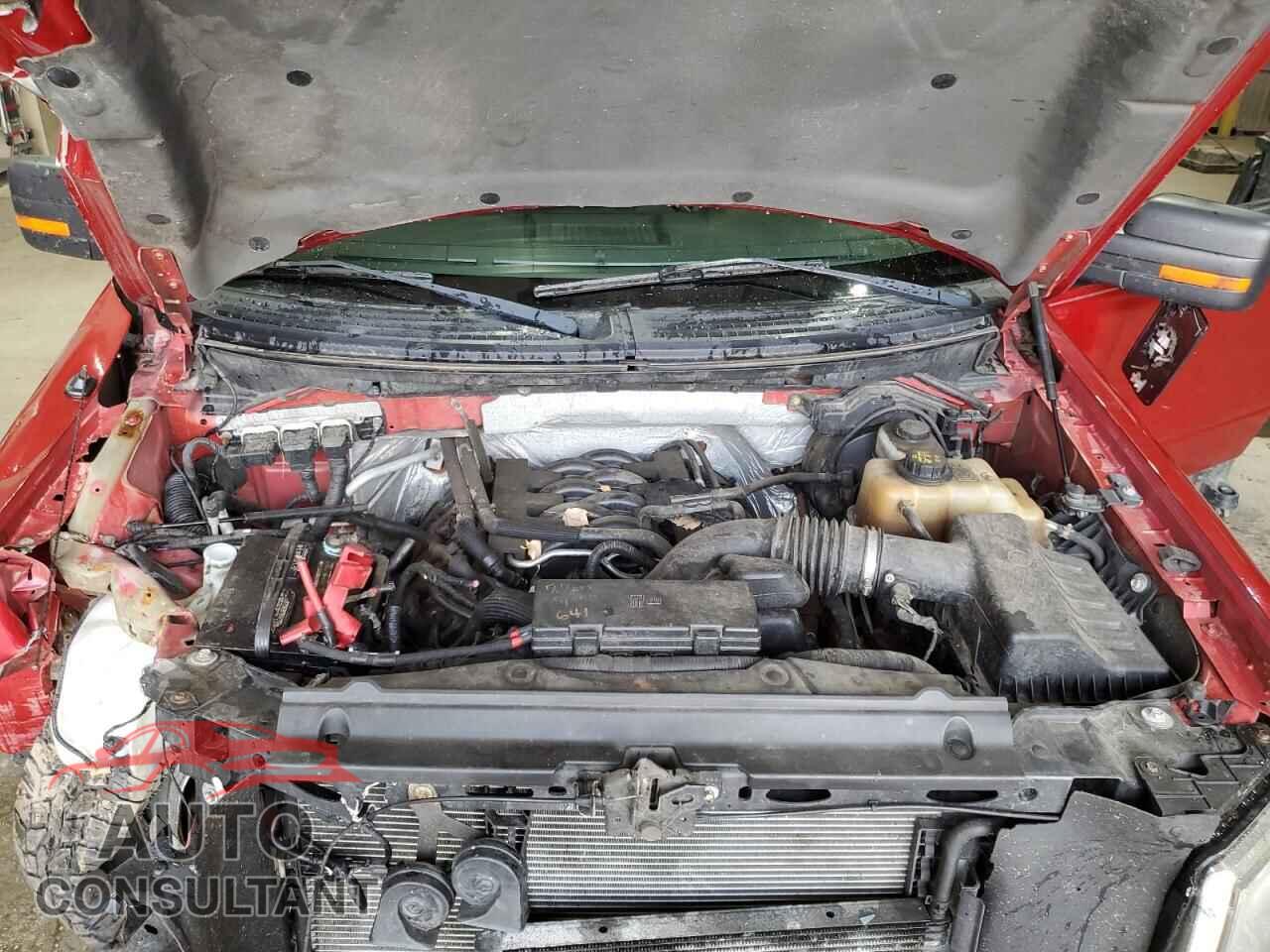 FORD F-150 2011 - 1FTFX1EF0BFC42683