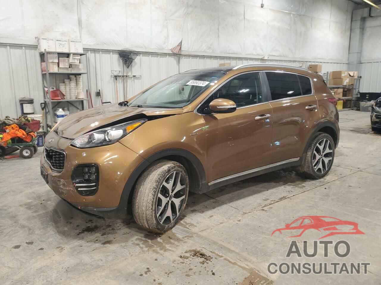 KIA SPORTAGE 2017 - KNDPRCA63H7169988